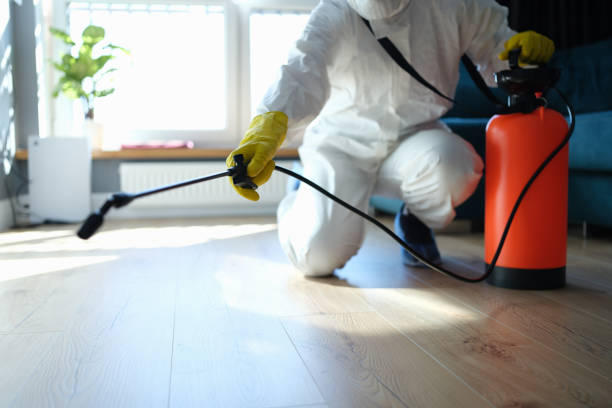 Trusted Trauma Scene Cleanup service in Forest Knolls, CA - Four Month Blood Cleanse